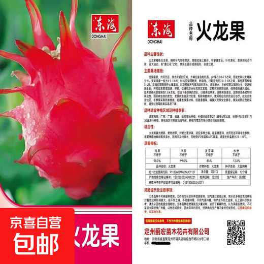 Dragon fruit seeds are easy to grow in the courtyard and balcony, indoor and outdoor potted plants for home planting of four seasons vegetables and fruits. Dragon fruit seeds, five packs, about 300 capsules