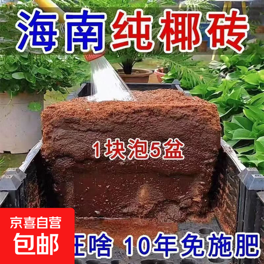 High foaming coconut brick nutritious soil compressed coconut bran desalination general soil for growing vegetables and flowers planting large pieces of coconut bran soil 20 coconut bricks high quality/high nutrition/high foaming