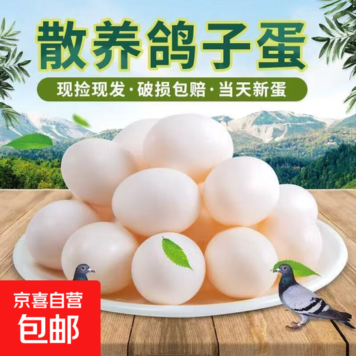 Authentic farm-raised fresh free-range pigeon eggs, now picked up and found, supplementary food for pregnant women and babies, farm-raised grain-fed pigeon eggs, 20 pieces