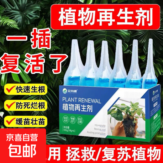 Plant Regeneration Agent Resurrection Liquid for Flowers and Green Plants Potted Plants Universal Light Stem Yellowing Money Tree Succulent Growth Nutrient Solution 10 boxes of 60 pieces in total Green leaves + strong roots + flower promotion