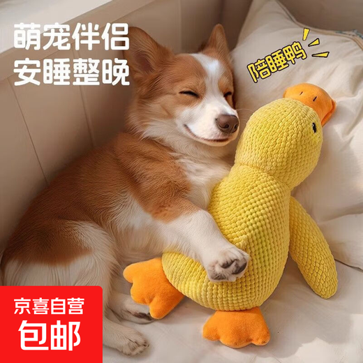 Pet toy plush sleep companion duck, resistant to teeth grinding, making sounds to relieve boredom, cat pet toy charging duck, vocal companion duck (resistant to biting and tearing) large size (38*16*13) cm