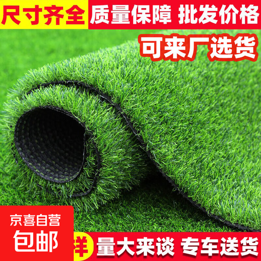 Simulated lawn carpet, artificial artificial turf, green outdoor decoration, fake grass plastic mat, balcony kindergarten, 2cm thick spring grass (1m wide*2m long)