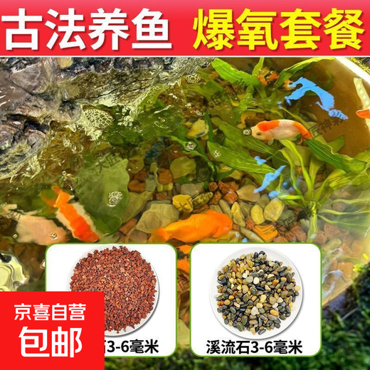 Natural volcanic stone stream stone package pavement native aquarium fish tank natural bottom sand particles special landscaping decoration 4 Jin Jin equals 0.5 kg Package A2 Jin Jin equals 0.5 kg Volcanic stone + 2 Jin Jin equals 0.5 kg Fine stream stone Water purification oxygen explosion package Ancient landscaping - purify water quality
