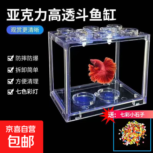 Trendy lifestyle appliances colorful lantern fish tank, fish tank + 1 lantern (comes with colorful stones and aquatic plants)
