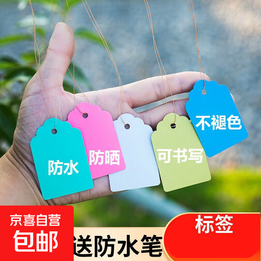 100 pieces of hang tags, plant signs, tree signs, classified color cards, plastic, waterproof, light-fast, non-fading P 5*7cm white, 100 pieces