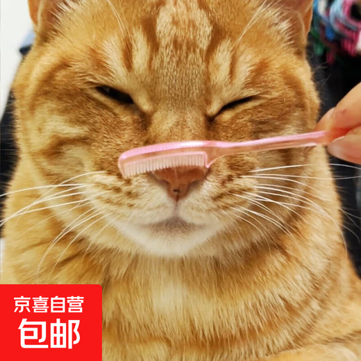 Cat comb, grooming brush, cat hair comb, cat hair comb, long hair massage, cleaning, cat hair removal, pet supplies, small comb - transparent powder - 1 piece