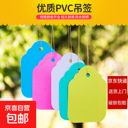 100张PVC彩色塑料植物吊签牌花卉园艺盆栽小挂牌苗木吊牌多肉标签 3.6x2.5cm白色/100张一捆