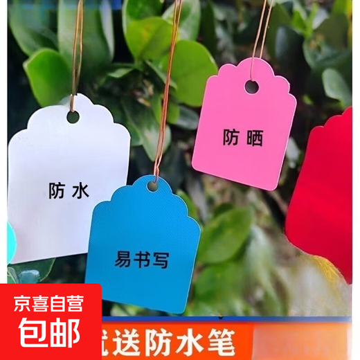 Arbor Day tag, plant tag, hanging tag, sapling, tree adoption tag, children's name information, plastic waterproof tag, 4*6cm white, 100 pieces