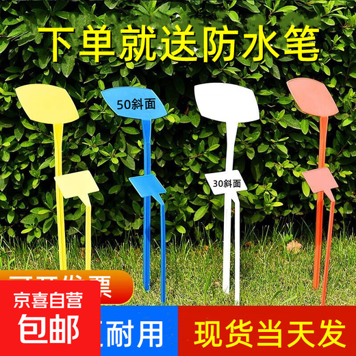 Abgeschrägtes großes Bodenschild, Gartenschild, Gartenschild, Pflanzenschild, Schild, Schild, 50 Abschrägung, gemischte Farbe, 50, fünf Farben, je 10 Stück