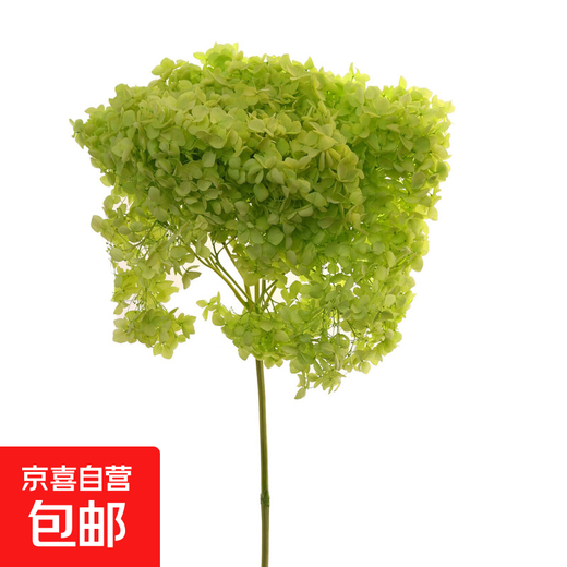 Hydrangea dried flower bouquet decorative flower material fruit green