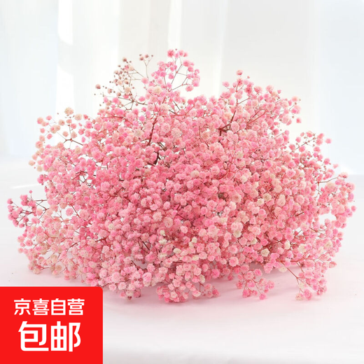 Gypsophila dried flower bouquet preserved flower material cherry blossom powder