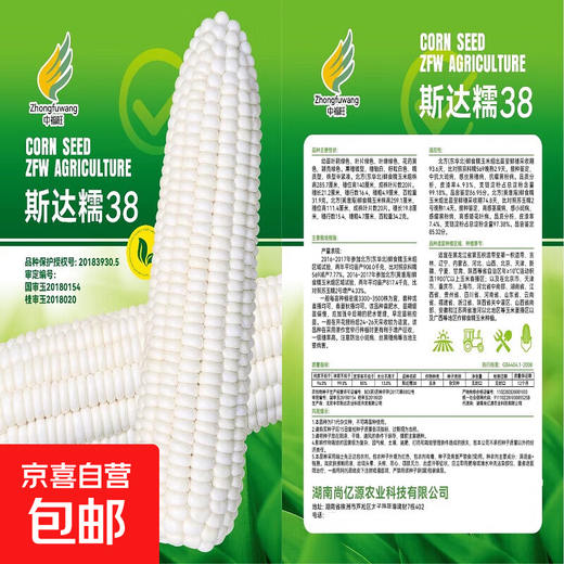 【国审】玉米种子甜糯玉米种子杂交玉米白玉米国审玉米种子 国审白玉米种子 2包约100粒