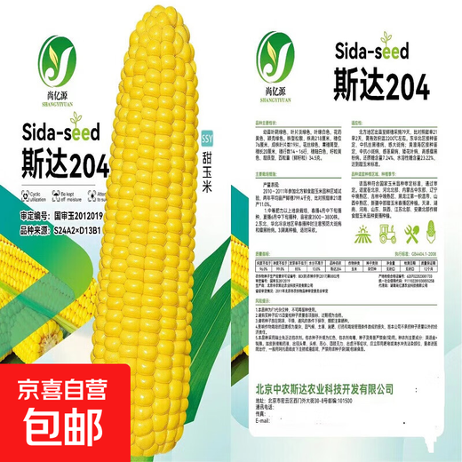 National Approval Fruit Corn Seeds Fresh Sweet and Crisp National Approval Sweet Corn Seeds Farmhouse Garden Vegetables National Approval Fruit Corn Seeds 2 packs of about 100 grains