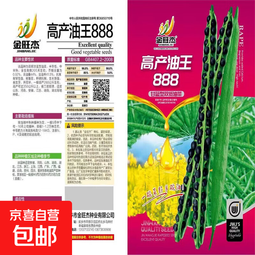 High-yielding Oil King 888 rapeseed, high-quality non-GMO black seed, special for oil extraction, low-stem, high-yielding, autumn sowing and cold-resistant. High-yielding 888 Oil King seeds, 3 packs of about 240 grams