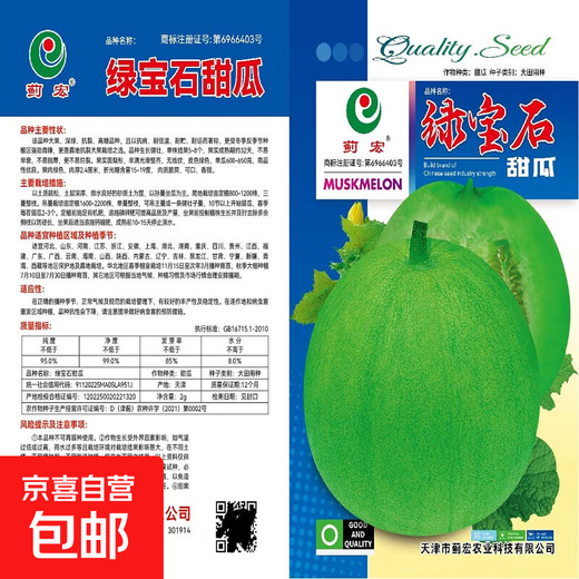 Emerald melon seeds, thin-skinned, super-sweet cantaloupe seeds, spring green-skinned, crispy melons for all seasons, early-maturing, high-yielding cantaloupe seeds, emerald melon seeds/pack, about 100 pieces, 3 packs