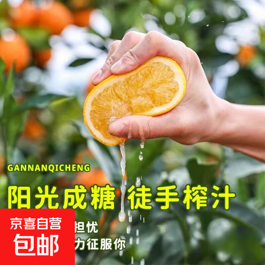 Oranges navel authentiques du Jiangxi Gannan, oranges douces fraîches pelées à la main, expédiées depuis les zones de production principales, fruits frais immédiats, oranges navel Gannan, 10 Jin dans des boîtes égales à 0,5 kilogramme (80-90 gros fruits)