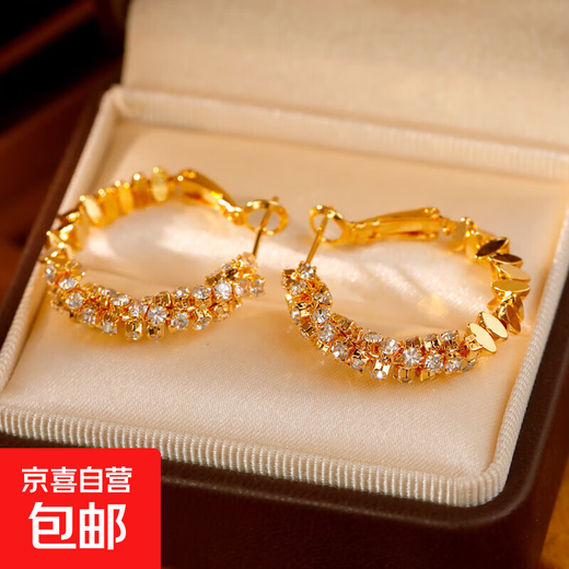 Gold Broken Silver Unique Hoop Earrings Women's Niche Design Light Luxurious Earrings 2025 New Trendy Ear Jewelry 18K Gold 925 Silver Needle Plated