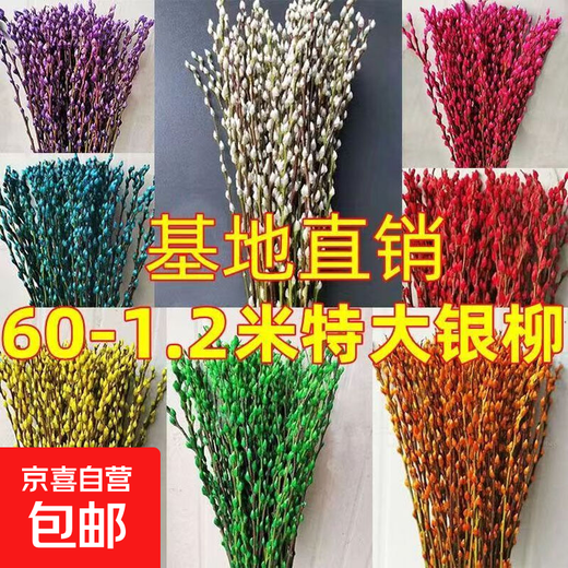 Silver willow real flowers, fresh branches, New Year's Eve flowers, red dried flowers, lucky bucket, silver willow, hydroponic plants, flowers, living room interior decoration, high-quality A-grade silver willow rose red 60cm, 20 branches + 2 small lanterns