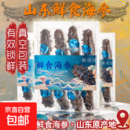 Shandong specialty Q-bomb fresh sea cucumber independently vacuum packed 500g Jingdong 5Jin Jin equals 0.5kg 8-12 heads
