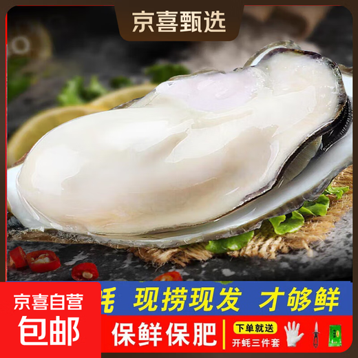 Fresh Rushan Oysters Fresh Authentic Rushan Oysters Sea Oysters 5 Jin Jin equals 0.5 kg box/10 Jin Jin equals 0.5 kg box 3XL medium oysters (20-30 pieces per box) with box 10 Jin Jin equals 0.5 kg