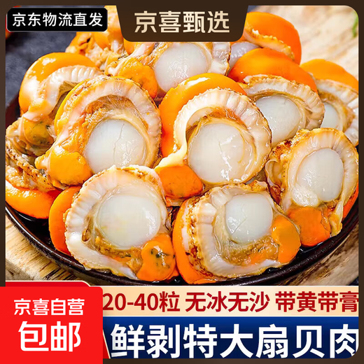 New arrival, extra large scallop meat, pure wild-caught fresh scallops, frozen seafood, kept fresh with ice, scallop meat 400g*2