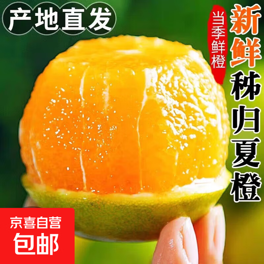 Naranjas de verano Zigui en una caja 1 Jin Jin equivale a 0,5 kg, frutas pequeñas de 55-60 mm envasadas Naranjas de verano Zigui en una caja 1 Jin Jin equivale a 0,5 kg de frutas pequeñas de 55-60 mm