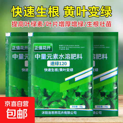 Quick Green 120 Foliar Fertilizer Chlorophyll Genuine Thick Leaf Vegetables Flowers Fruits and Vegetables Universal Water-Soluble Fertilizer Factory Direct Sales Powerful Quick Green 120 50g*10 Bags Standby
