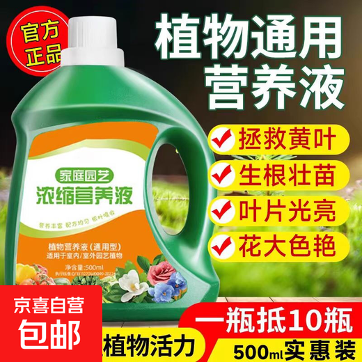 Nutrient solution plant universal flower fertilizer fortune tree rich bamboo green dill hydroponic potted household flower fertilizer universal nutrient solution 500g 2 bottles
