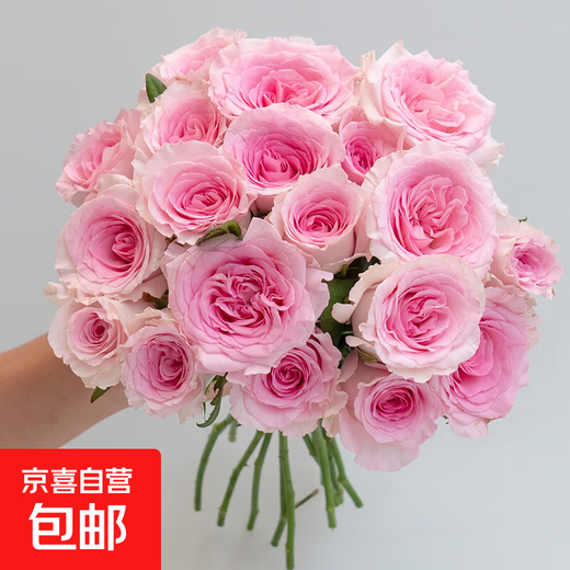 10 new roses packed with Yunnan flowers for straight delivery for festivals and birthdays gift bouquets for home water-raised real flowers 10 roses from Roselle