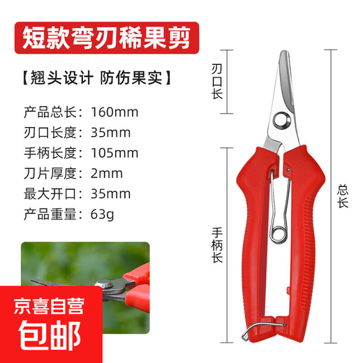 Fruit picking scissors, fruit thinning scissors, grape flower thinning scissors, flower pruning scissors, citrus pepper picking twig scissors, fruit picking scissors, short curved blade scissors