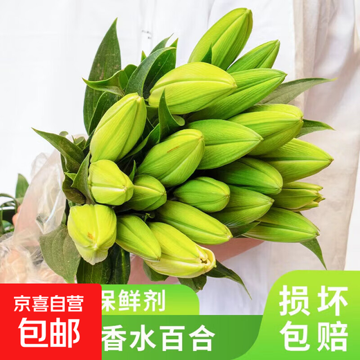 Carnation flowers Yunnan base straight hair Goddess Day gift bouquet multi-color flowering period long Chinese Valentine's Day gift 3 random mixed color lily 6 buds