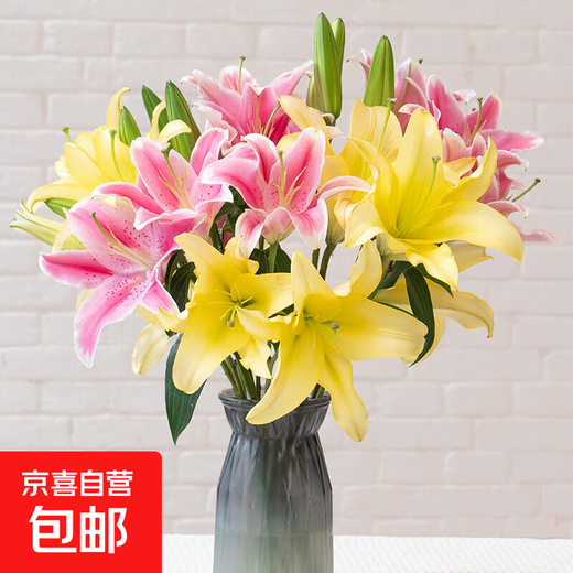 Perfume lily, flowers for Buddha, Yunnan straight-haired fresh-cut flowers, water-raised flower arrangement, white, yellow and pink, Chinese Valentine's Day gift, random perfume lily mixed color, 6 flowers, high-quality lily