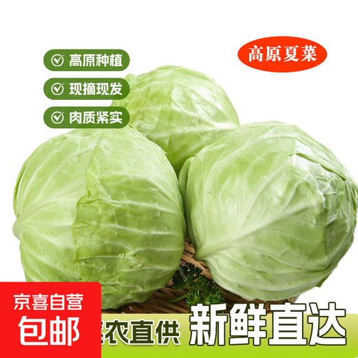 Plateau summer vegetables, fresh cabbage, green cabbage, cabbage, cabbage, seasonal vegetables, healthy and nutritious breakfast, 3 Jin Jin equals 0.5 kg, boxed farm food