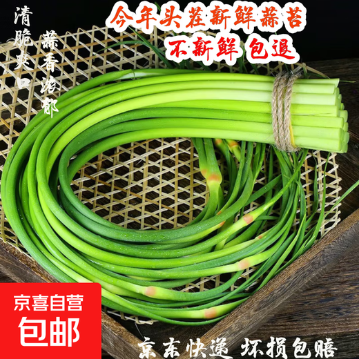 This year's first batch of fresh garlic sprouts, fresh supermarket quality garlic sprouts, vegetable seasoning, cold stir-frying, ready-to-eat garlic sprouts 2Jin Jin equals 0.5 kg of fresh garlic sprouts