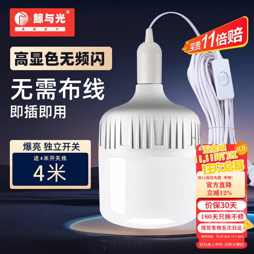 Whale and Light LED energy-saving light bulb with plug household plug-in e27 socket lamp with switch wire super bright hanging small wall lamp 4 meters wire