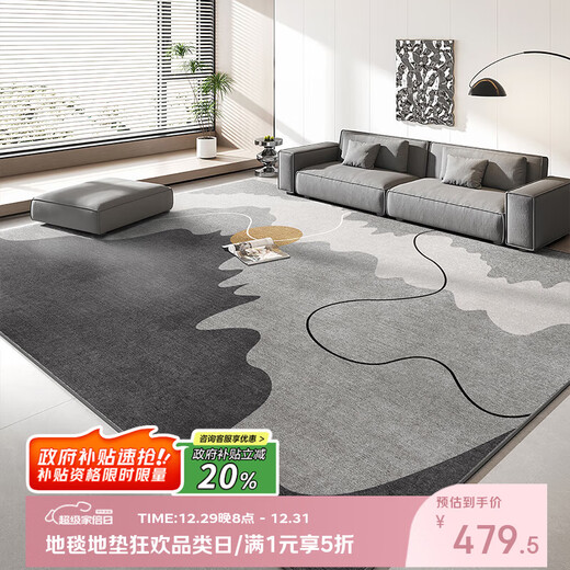 Budisi carpet, bedroom, large area, home living room blanket, sofa coffee table, light luxury anti-slip blanket, simple customizable carpet, modern 6210 thickened loop pile 240*400CM, customized and non-returnable