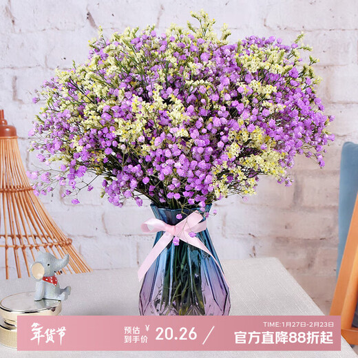 AIMAN Gypsophila Natural Dried Flower Bouquet Ins Internet Celebrity Birthday New House Decorative Ornaments Air-Dried Real Flower Arrangements Home Furnishings Purple Gypsophila + Citrine With M Vase