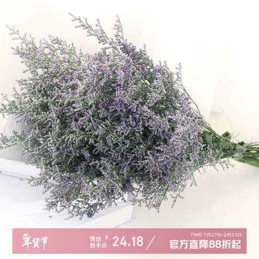 AIMAN Yunnan Forget-Me-Not Real Flowers Dried Flower Bouquet Home Furnishings Small Fresh Living Room Gypsophila Flower Arrangement Theory Jin Jin is equal to 0.5 kg. Sell Lover's Grass One Bouquet Dried Branches