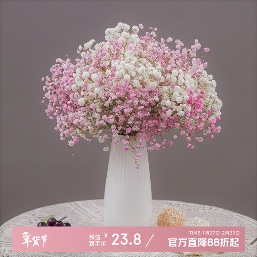 AIMAN Gypsophila dried bouquet for home decoration, living room and bedroom decoration, flower arrangement, eternal freshness, birthday gift with vase, Gypsophila white + pink + white porcelain bottle, dried flower bag