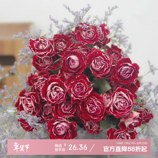 Love Yunnan Natural Dried Roses Bouquet Living Room Decoration Lucky Rose Dried Flowers Real Flower Decorative Ornaments Air-dried and Baked Stunning Bubbles About 30 Heads