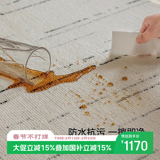 Cartifiya waterproof, non-slip and anti-stain living room carpet Xinsongxue 240*340cm light luxury style