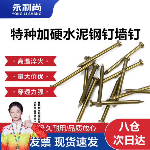 Wynn nails cement nails galvanized steel nails high strength wall nails concrete carpentry nails national standard 350g cement steel nails 100mm (about 20 per pack)