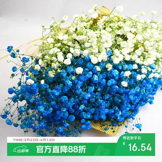 AIMAN Букет из гипсофилы из сушеных цветов Юньнань Натуральный сушеный подарок на день рождения DIY Украшение для гостиной Домашняя мебель Настоящие сухоцветы Белый + синий Смешанная гипсофила с газетой + лентой