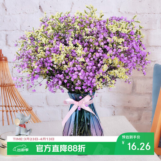 AIMAN Gypsophila Natural Dried Flower Bouquet Ins Internet Celebrity Birthday New House Decorative Ornaments Air-Dried Real Flower Arrangements Home Furnishings Purple Gypsophila + Citrine Without Vase