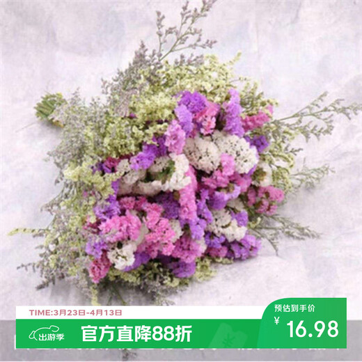 AIMAN Yunnan Flowers Dried Flower Bouquet Forget-Me-Not Lover Grass Combination Starry Living Room Real Flowers Flower Arrangement Home Furnishings Light Purple Pink White Grass + Crystal About 30 Count Not Included in Basket