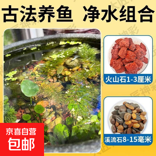 Natural volcanic stone stream stone fish tank decoration package Native landscaping bottom sand special gravel for garden fish farming Large size 10 Jin Jin equals 0.5 kg Volcanic stone + 20 Jin Jin equals 0.5 kg Stream stone + 1 thickened bag Ancient landscaping combination Stabilizes water quality + absorbs impurities