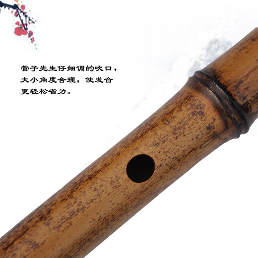 管子先生专业五节紫竹笛子演奏横笛成人初学考级古风乐器 D调