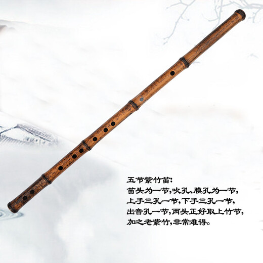 管子先生专业五节紫竹笛子演奏横笛成人初学考级古风乐器 D调