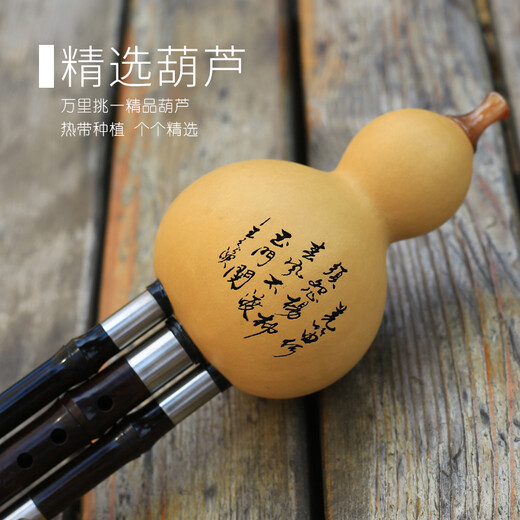 筚郎 筚郎特制 黑檀木管 乌木 葫芦丝降B调 乐器 专业演奏型 C调