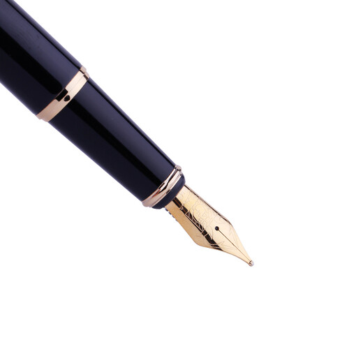 Picasso (pimio) fountain pen gift box T719 calligraphy pen male and female pen student business office writing practice wording gift gift ink pen set free lettering Black double pen nib (0.38mm+0.5mm)